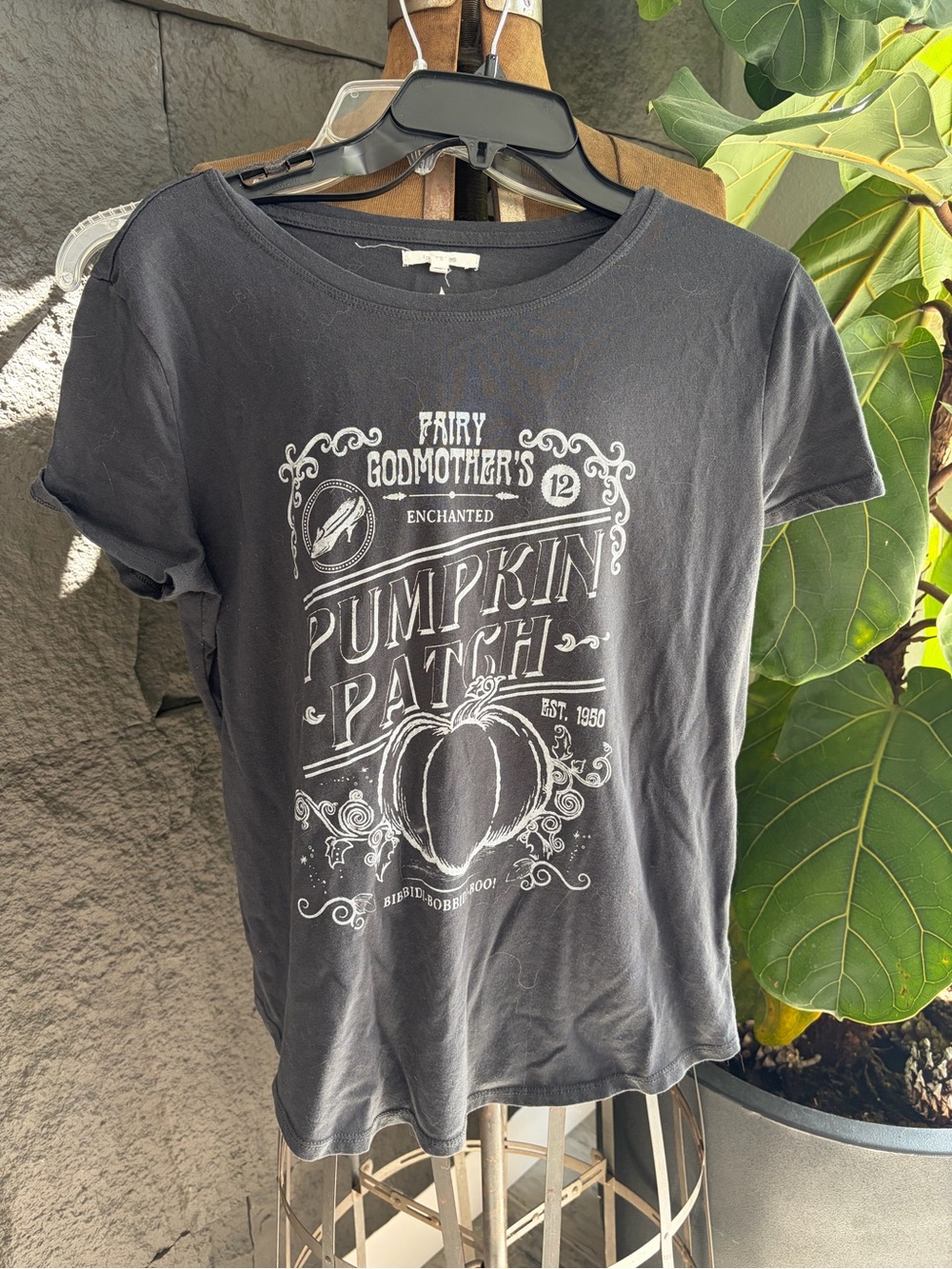 Pumpkin Patch Graphic Tee  - Black